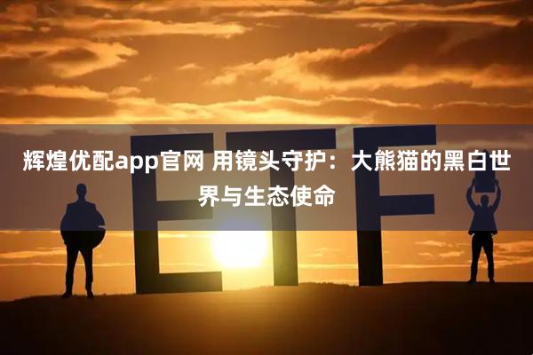 辉煌优配app官网 用镜头守护：大熊猫的黑白世界与生态使命