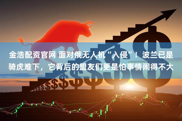 金浩配资官网 面对俄无人机“入侵”！波兰已是骑虎难下，它背后的盟友们更是怕事情闹得不大