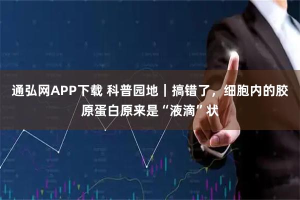 通弘网APP下载 科普园地｜搞错了，细胞内的胶原蛋白原来是“液滴”状